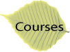 Courses Link