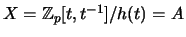 $ X=\mathbb{Z}_p[t,t^{-1}]/h(t)=A$